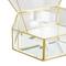 Clear & Gold Beveled Glass & Metal Wide Hexagon Jewelry Box with Chain Accent Set